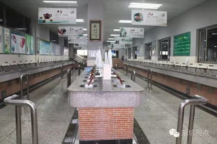 文化經(jīng)紀(jì)促活力，文明創(chuàng)建譜新篇——大東坑的文化服務(wù)實踐